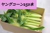 採れたて！サクッと甘い。有機ヤングコーン [たっぷり150本!!]