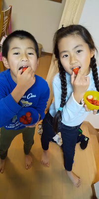 みんなの投稿の画像
