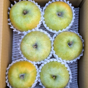 葉とらず完熟王林  約２Ｋ