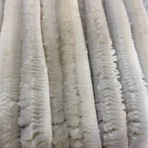 ハモ骨切り500g真空パック瞬間冷凍　宇和島豊後水道産漁師直送