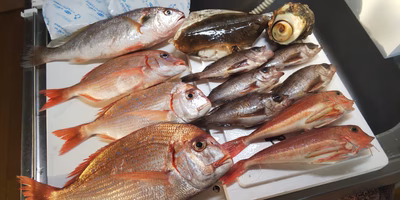 みんなの投稿の画像