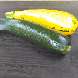 菜園家族の旅する医農野菜♪【ズッキーニ】
