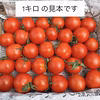 【味の旬】中玉トマトフルティカ⭐️上品なおいしさ食べ応えバッチリ！