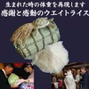 手作り米俵ウエイトライス　出生時体重米　令和５年産　新潟県産　結婚式