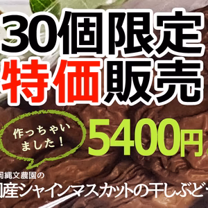 ⭐️シャインマスカット房ごとまるっと干しぶどう‼️