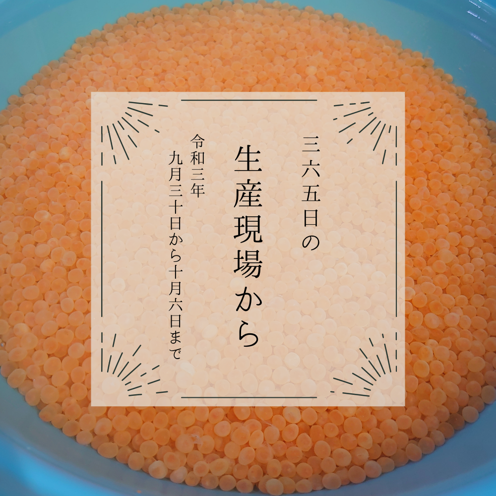 ネットオフ 送料得店  北海道·東北地方送料込み【農家直送・お買得便】とてもやわらか 果物