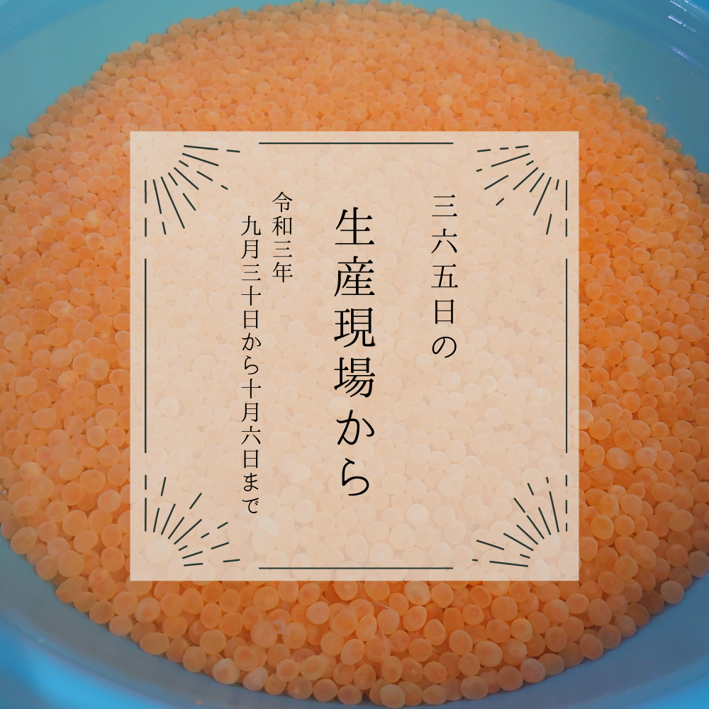 漁師特製の濃い味イクラが気になるぅぅ😍今週の36投稿！【9月30日〜10