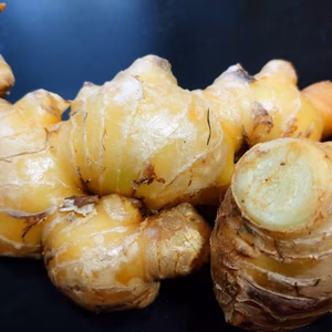 【送料込】旬です! 掘りたて石垣島産　新しょうが1kg