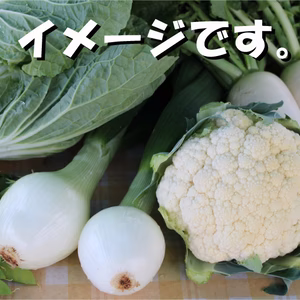 野菜セット「夏が待てない」バージョン