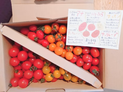 みんなの投稿の画像