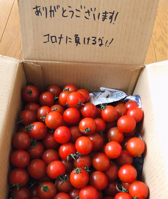 みんなの投稿の画像