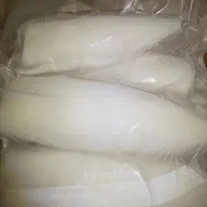 関門海峡産★コウイカ刺身用（冷凍）800g（400g・4～6枚×2パック）