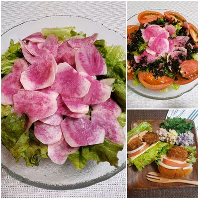 みんなの投稿の画像