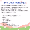 採れたて山菜天然山うど 天ぷら・煮物等で《予約受付》