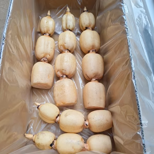 厳選RENCOOON４㎏