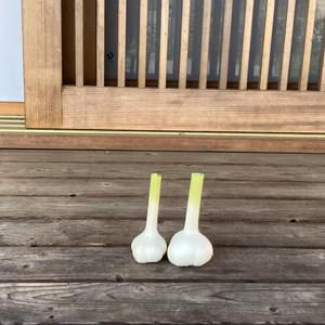 自然栽培　生ニンニク　1ｋｇ