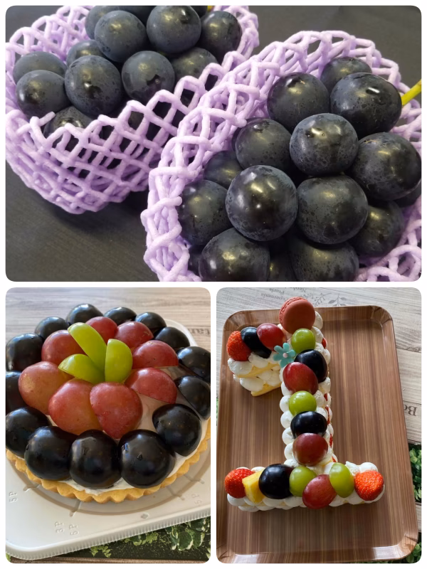 大粒Bigサイズ#種なし＃皮ごと食べれる！【ナガノパープル 長野産】（計2房）