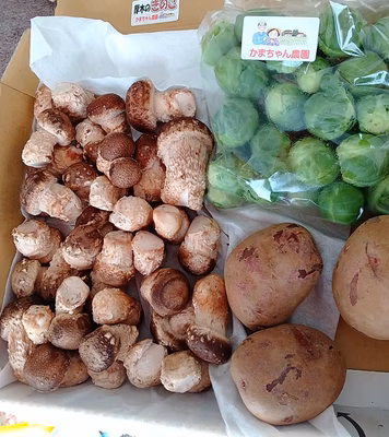 みんなの投稿の画像