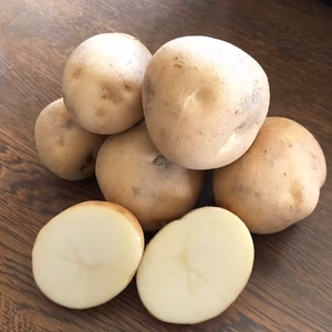 北海道美瑛町産じゃがいも（北かむい/サイズ混合）