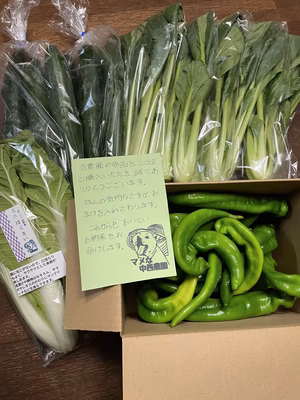 みんなの投稿の画像