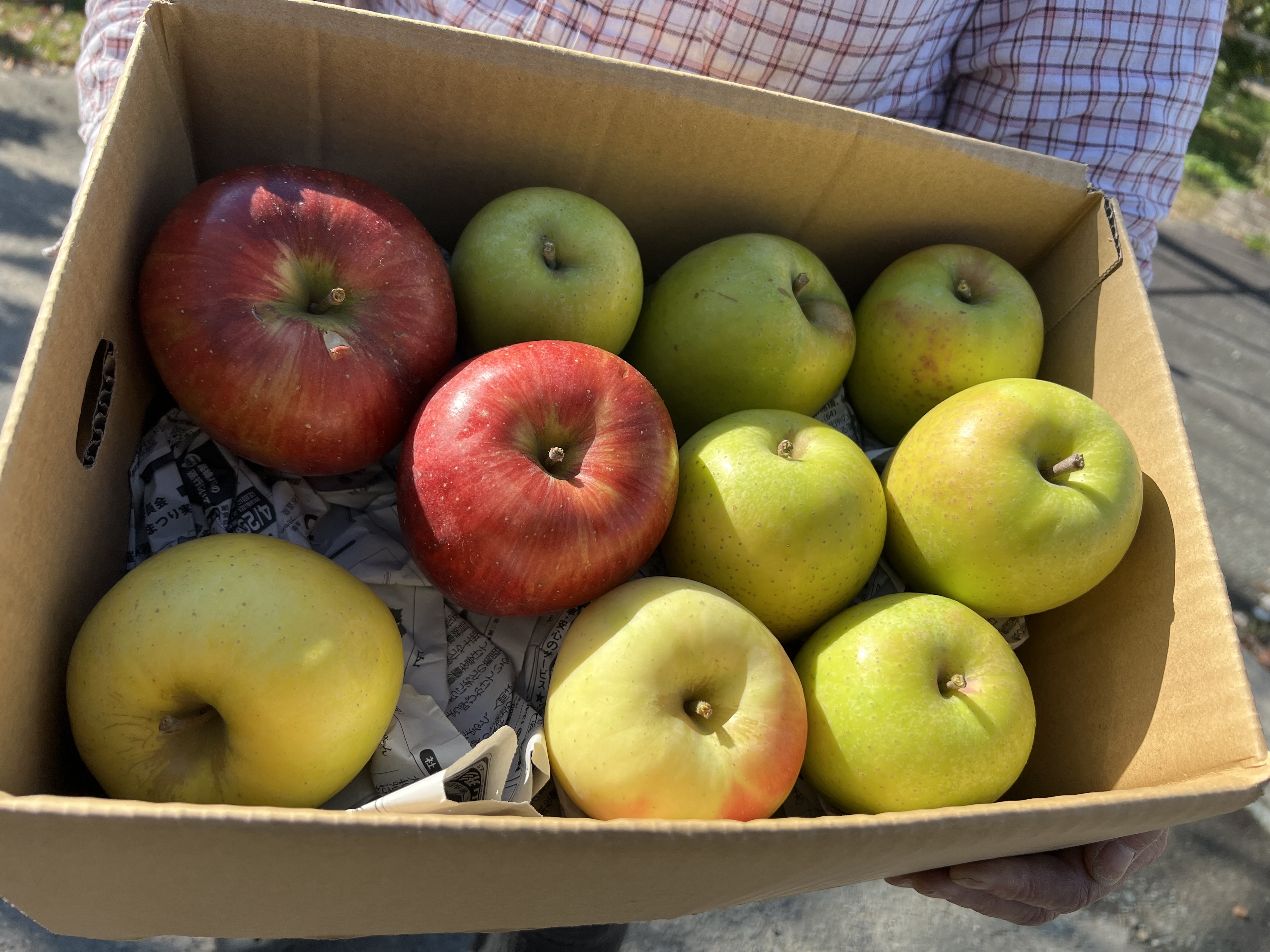 大放出❗️ちょっと訳あり王林5キロ満杯詰めおまけ付き｜りんごの商品