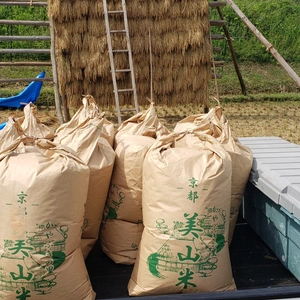 大嘗祭献上米❗南丹市キヌヒカリ❗新米【玄米10キロ】
