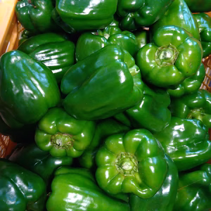 ずっしり肉厚ジューシー！ちぐさピーマン
