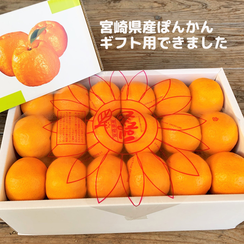 贈答用 宮崎県産 芳香高い 日南ポンカン 5kg 農家漁師から産地直送の通販 ポケットマルシェ