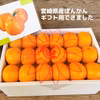 【贈答用】宮崎県産・芳香高い「日南ポンカン」(5kg)