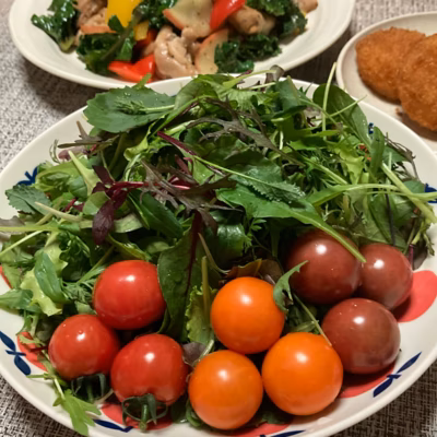 みんなの投稿の画像