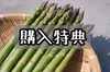 【購入特典/早割】令和4年産 那須野が原産 朝採りおかわりアスパラガス　