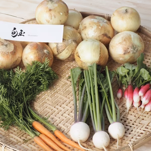 新玉ねぎ「旬玉」とお野菜セット