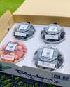 【７月発送予約】完熟ブルーベリー　食べ比べセット(125g×4パック)