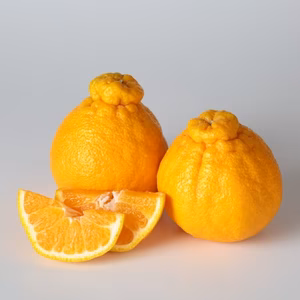 【本場 熊本県産】不知火（しらぬい）慣行栽培比約50％減農薬栽培