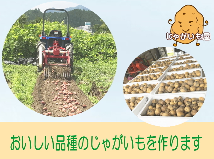 広島県廿日市市｜佐伯の風｜森脇俊博さんの生産者プロフィール｜ポケットマルシェ｜産地直送で旬の食材が生産者(農家・漁師)から届く