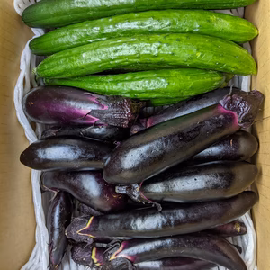 長ナスとキュウリの詰め合わせ