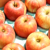 【樹上完熟！】爽やか系りんごの代名詞「つがる」８～12玉（約3㎏）