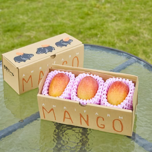 激うま！こだわりの完熟マンゴー（３個入り）