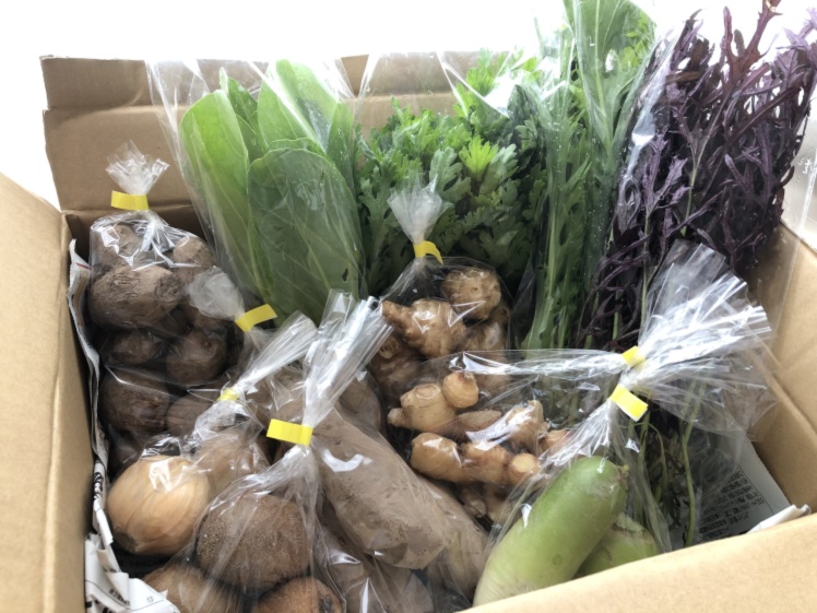 自然栽培のアピオス 無農薬 無肥料 除草剤不使用 500g 農家漁師から産地直送の通販 ポケットマルシェ