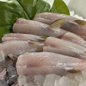 サバフグ1kg 真空パック瞬間冷凍　宇和島豊後水道産