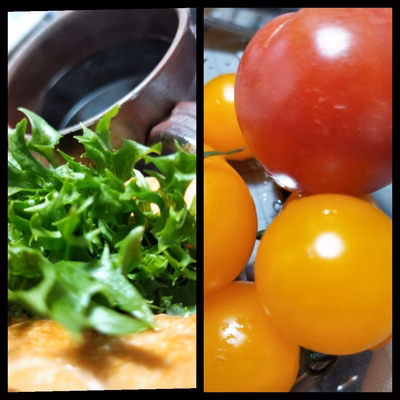 みんなの投稿の画像