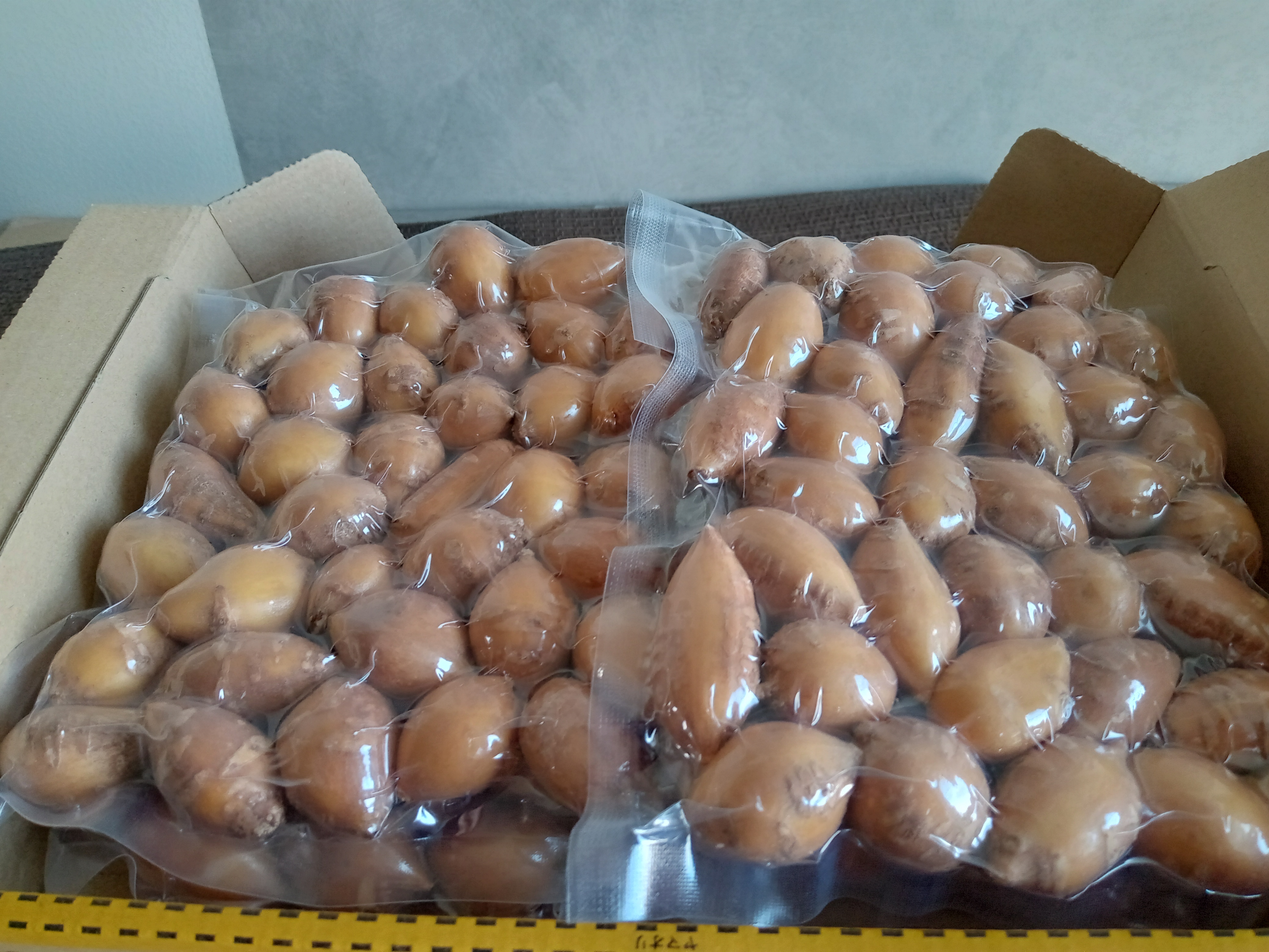 専用 青森県産アケビ10キロ 青森県産 にんにく 10キロ 【公式通販】