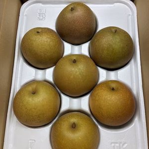 鳥取県産[甘太(かんた)]2.5kg箱(6-9玉)