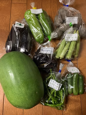 みんなの投稿の画像