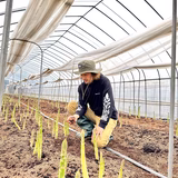 須郷章生 | 株式会社グラフィックファーム