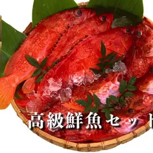 【夏季限定】宮崎県産のお試し高級鮮魚セット（２kg前後）