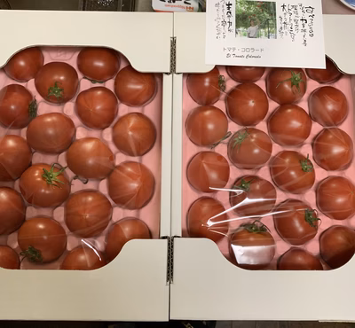 みんなの投稿の画像