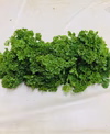 香り爽やか 有機JAS認証「フレッシュ和パセリ」