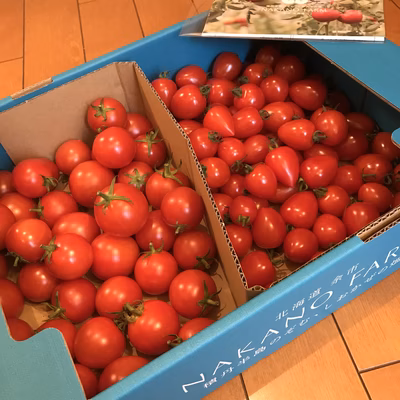 みんなの投稿の画像