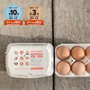 【福袋2024】1月1～3日発送❗新年初産❗️元旦タマゴ36個（名古屋コーチン）